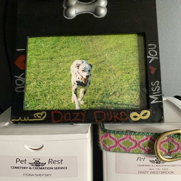 😃Hello there & Welcome...... - Picture 15 of 15